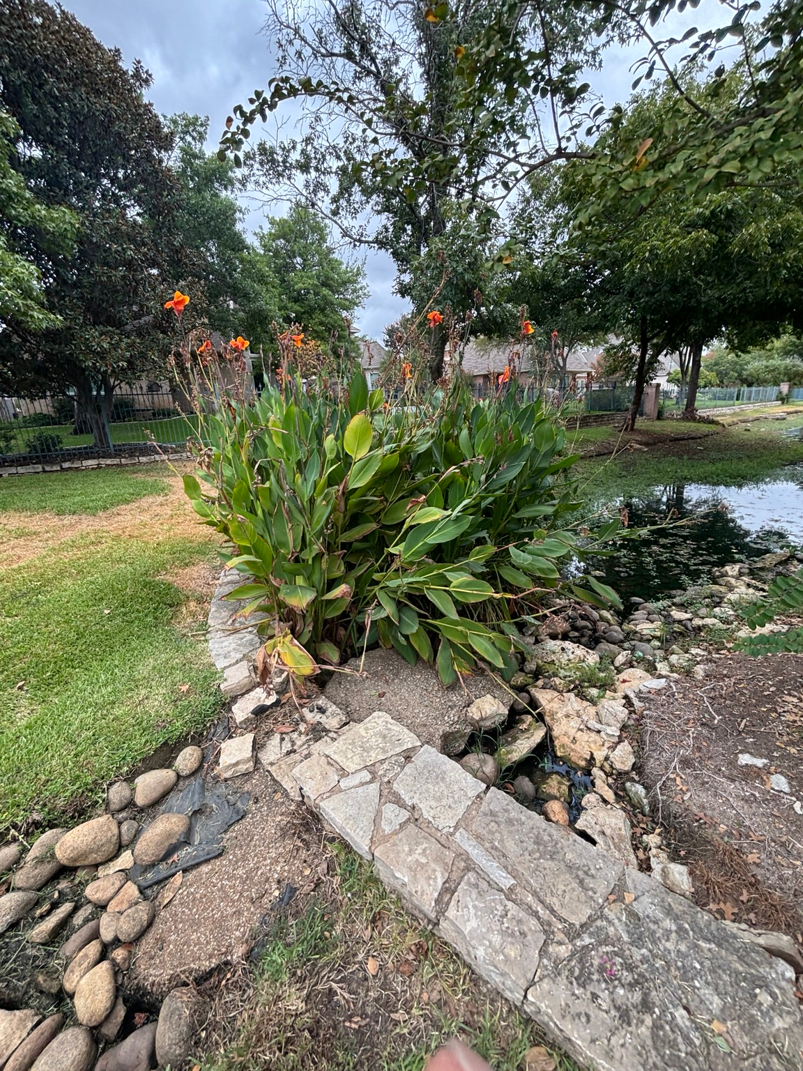 Flowering vegetation and stone edging beside the pond