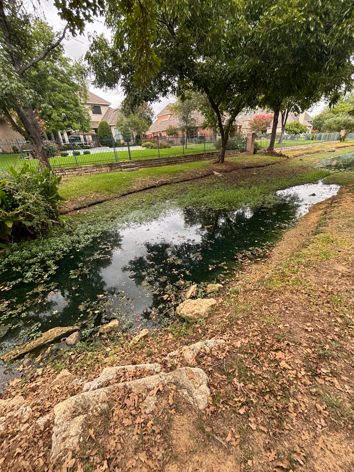 Pond edge with lawn, trees, and residences